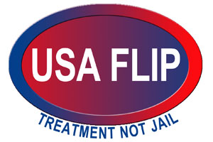 USA-Flip